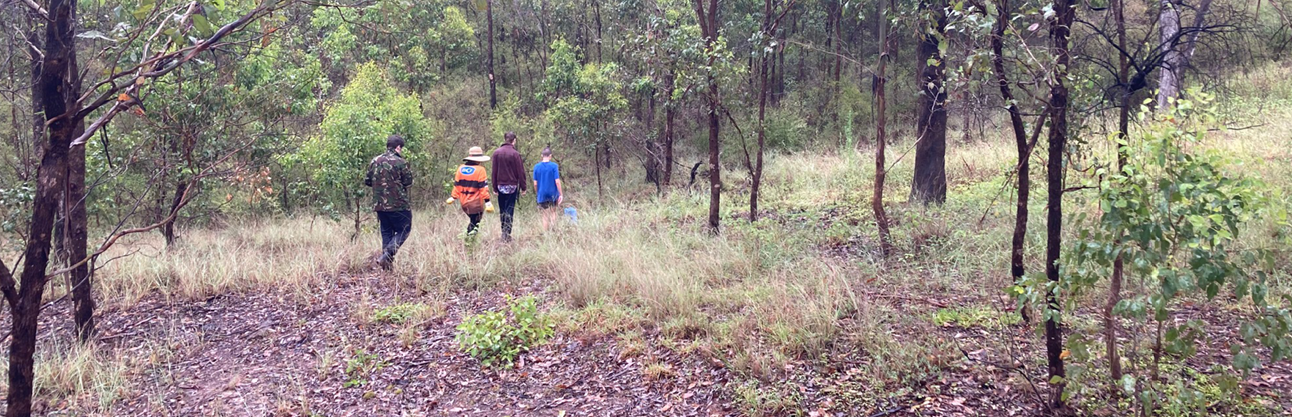 habitat restoration